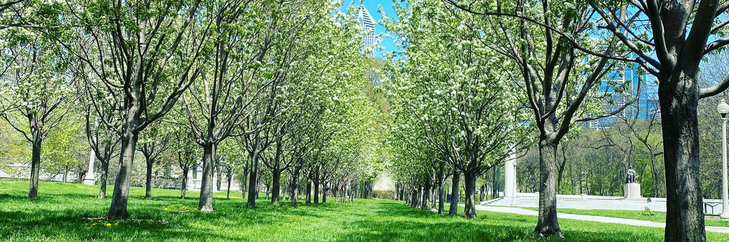 Janett I. Cordovés banner