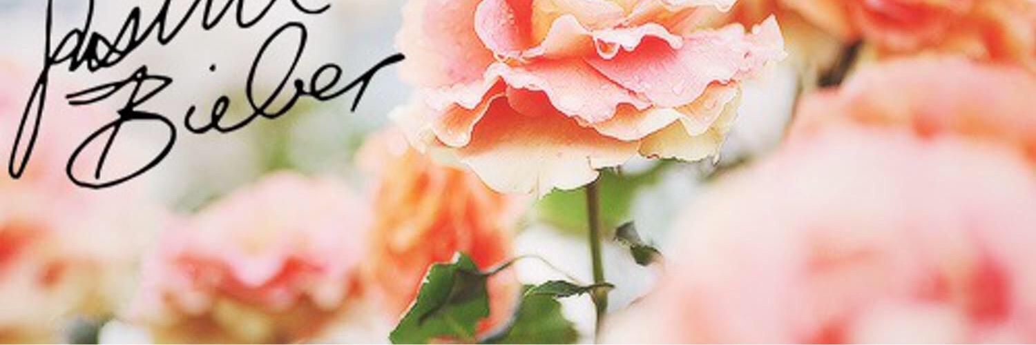 BiebTeams's profile banner image