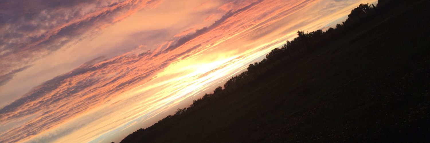 ShawnFCline's profile banner image