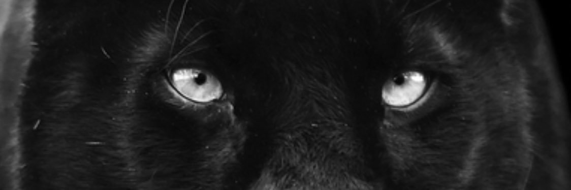 delarossa99's profile banner image