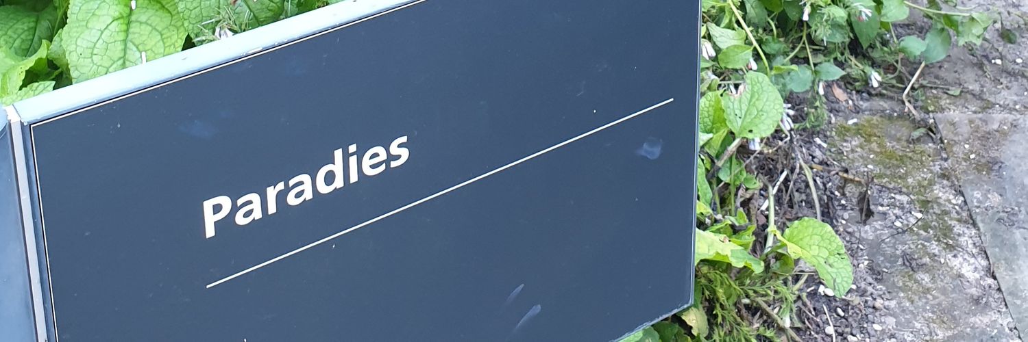 hskoenig's profile banner image
