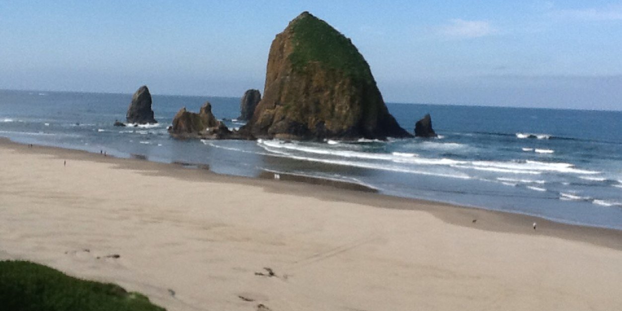 Nicole Widdess banner