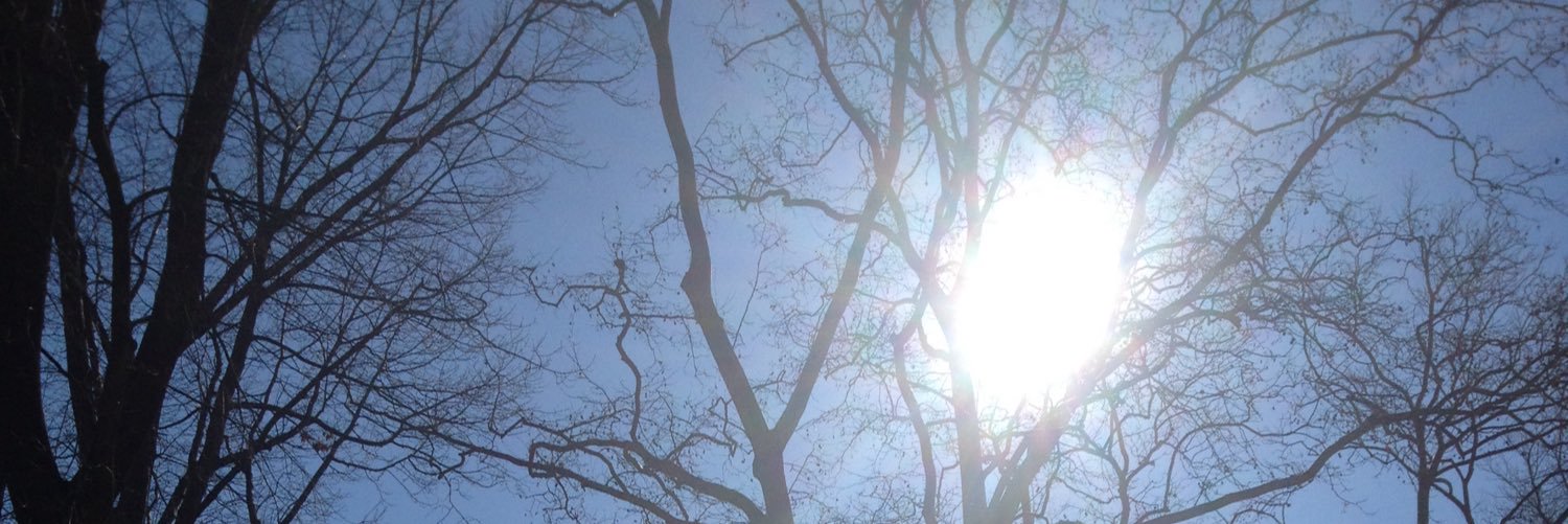 Helena Tannure banner