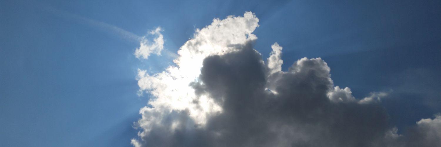 DanaTurtleTV's profile banner image