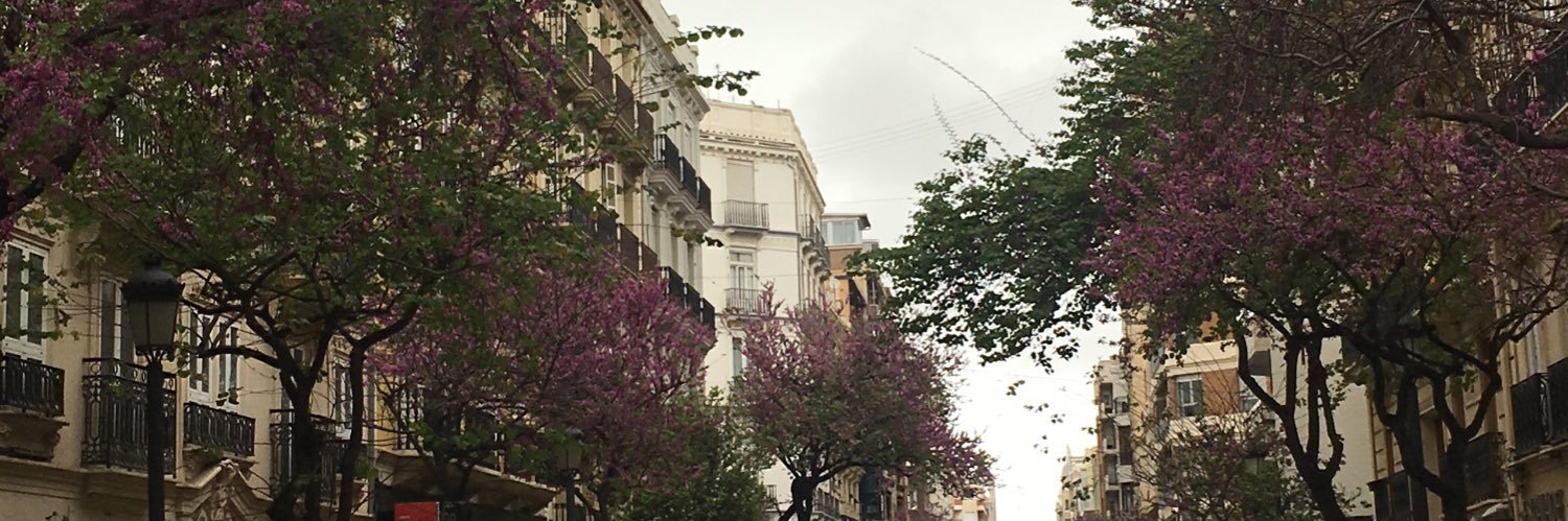 AnaCMirandaV's profile banner image