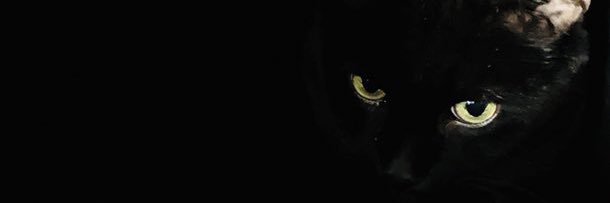 solohan83's profile banner image