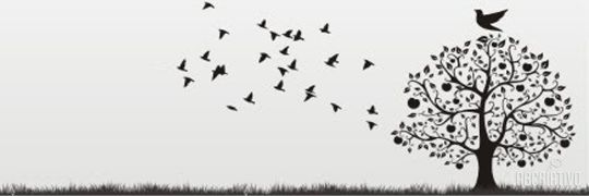 _querolaine's profile banner image