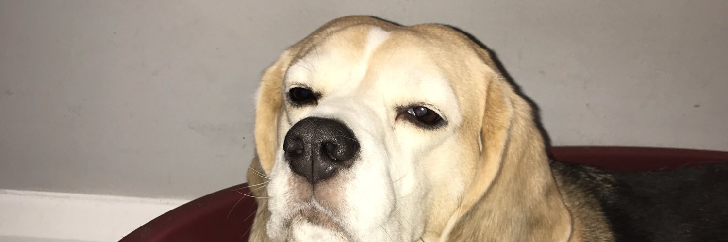 JonnySeller's profile banner image