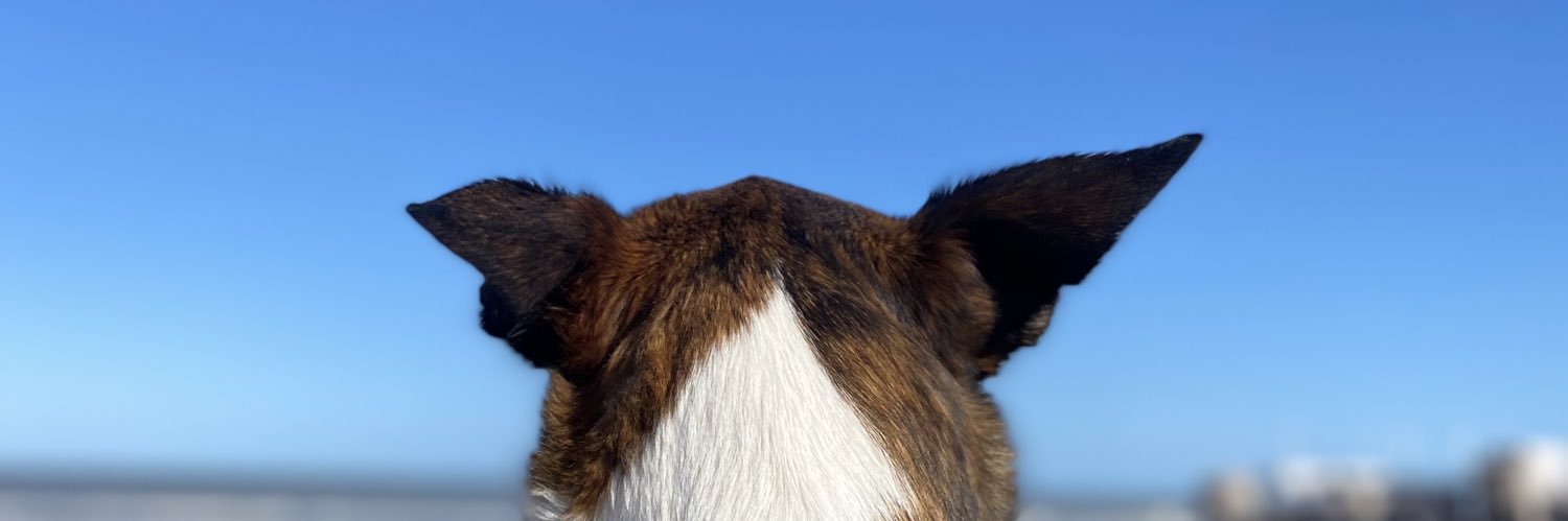AgusDuclos's profile banner image