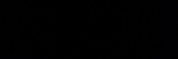Coach_JFree Profile Banner