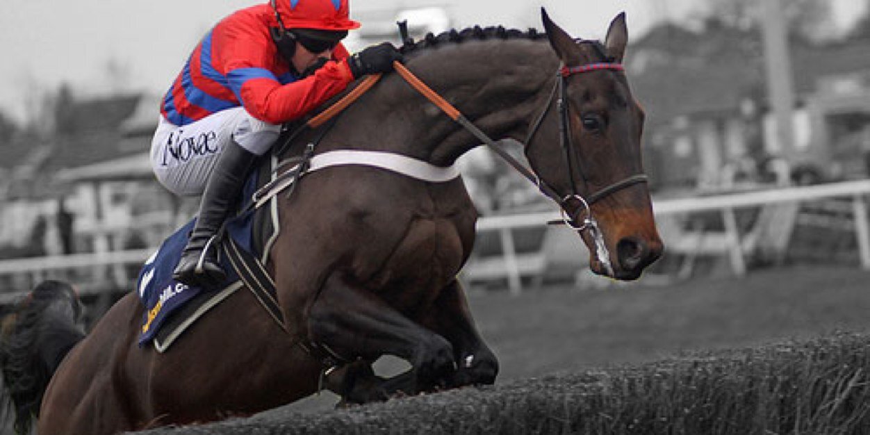 Paul Taylor banner