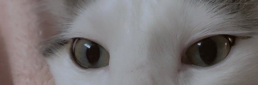 Gaelle103's profile banner image