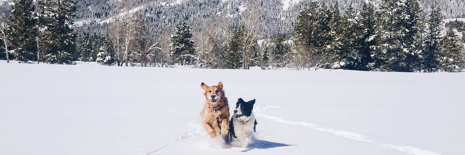 jaimiewai's profile banner image