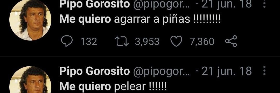 guillermina 🌙 banner