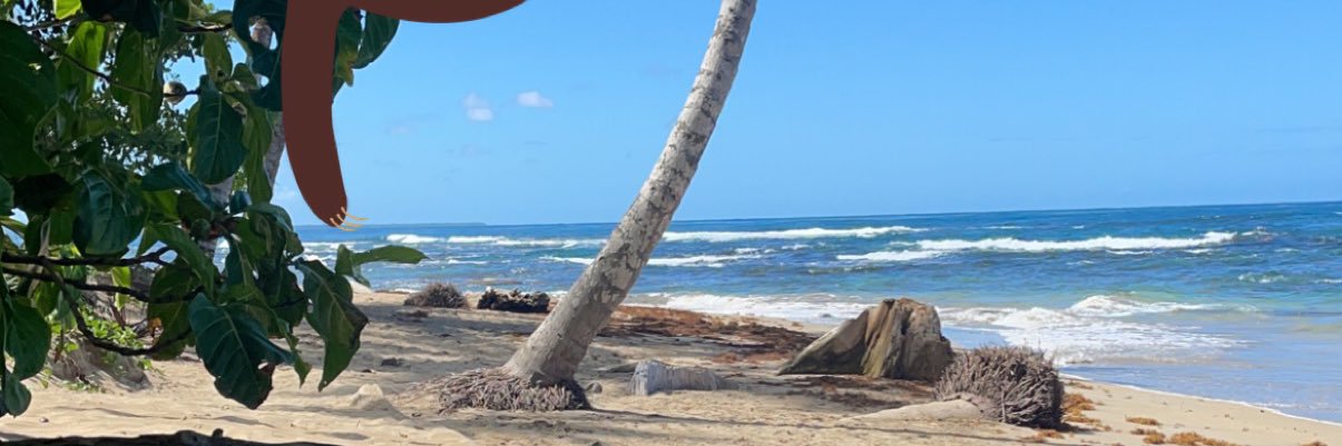 kcallel's profile banner image
