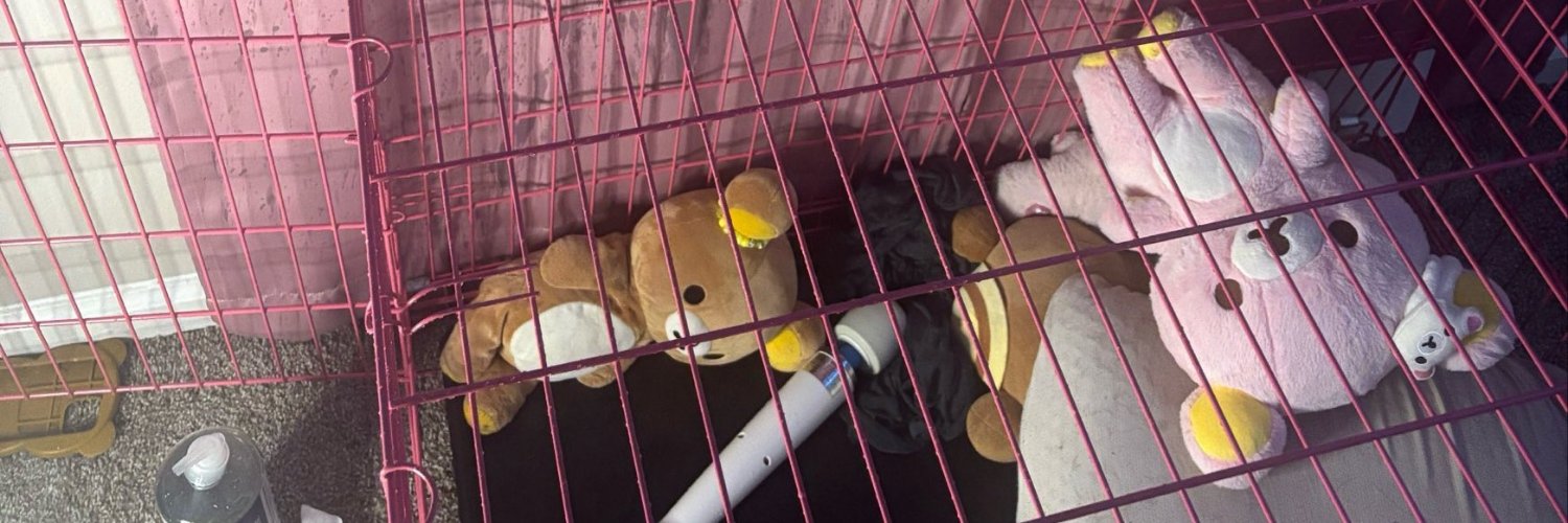 catseatpigs's profile banner image
