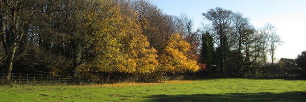 eileenbarter Profile Banner