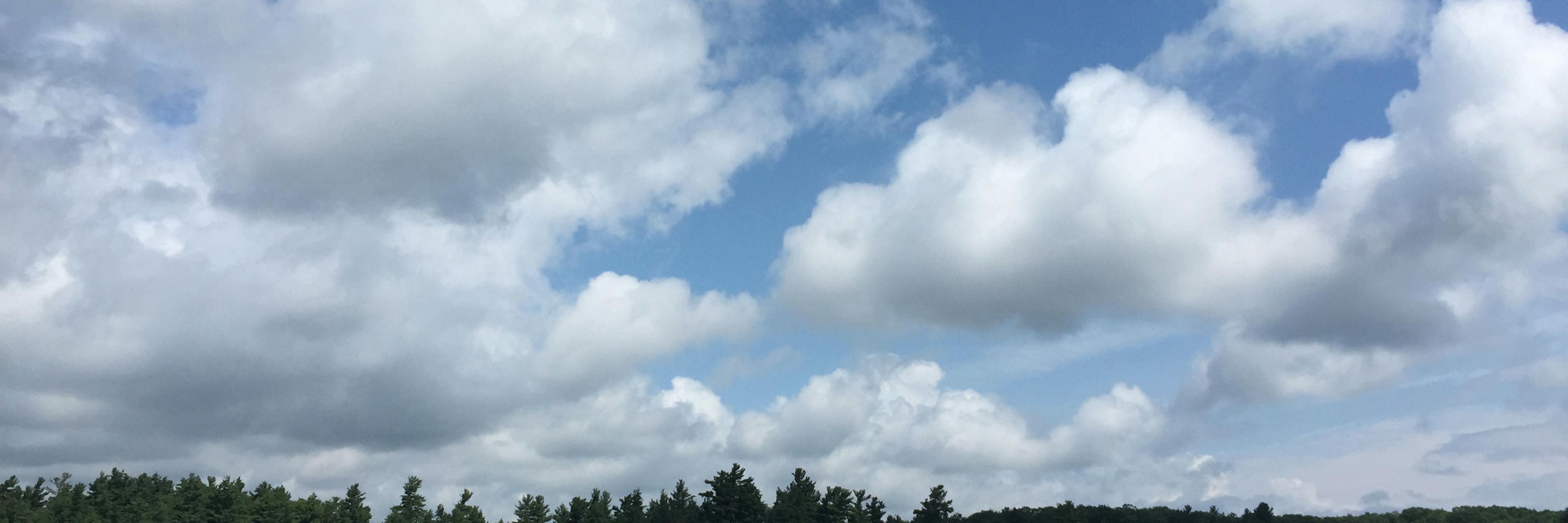 andrealmarch's profile banner image