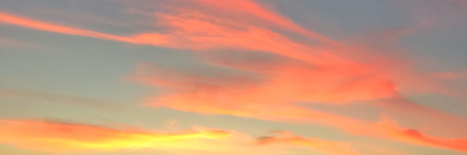 leahskuse's profile banner image