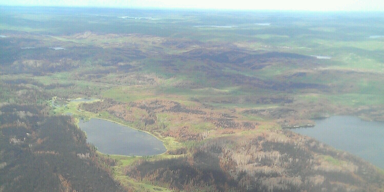 Ethan Houston banner