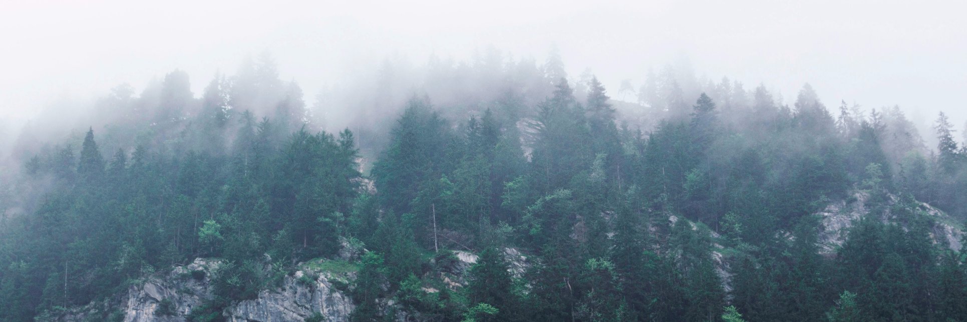 LUT_ES's profile banner image