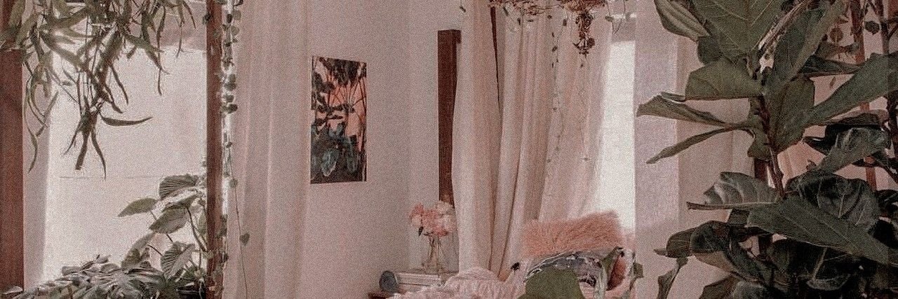 majanicab's profile banner image