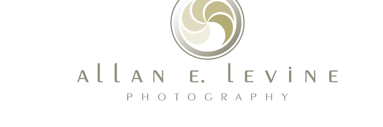 VickiLevine's profile banner image
