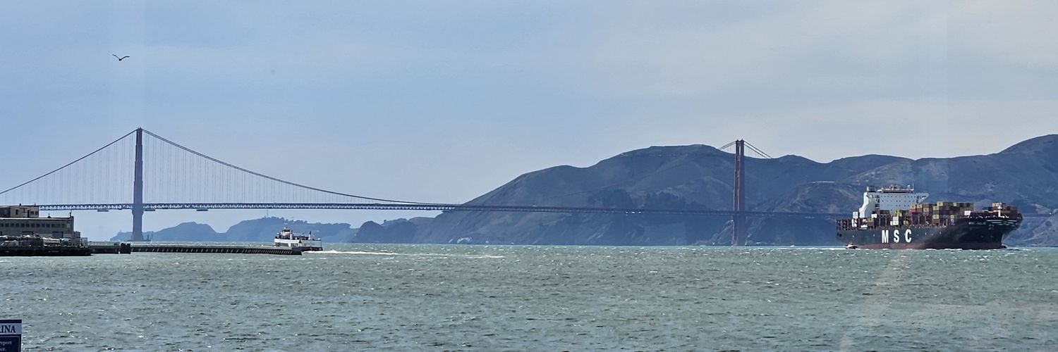 perolavnyborg's profile banner image