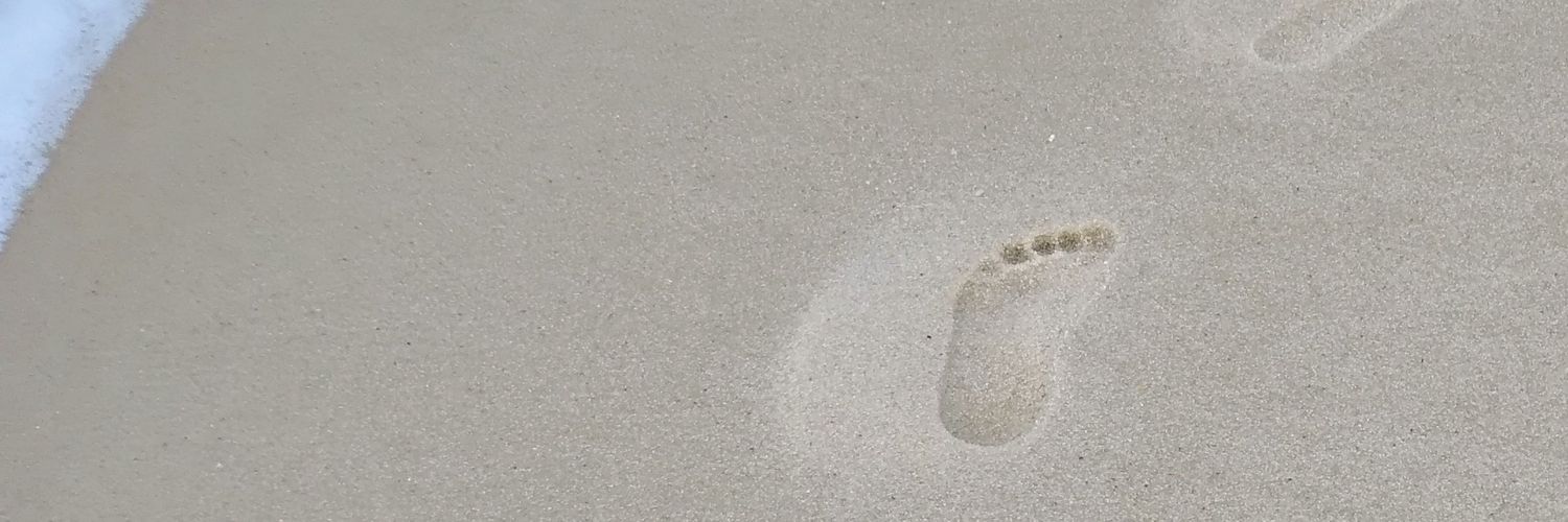 crollim's profile banner image