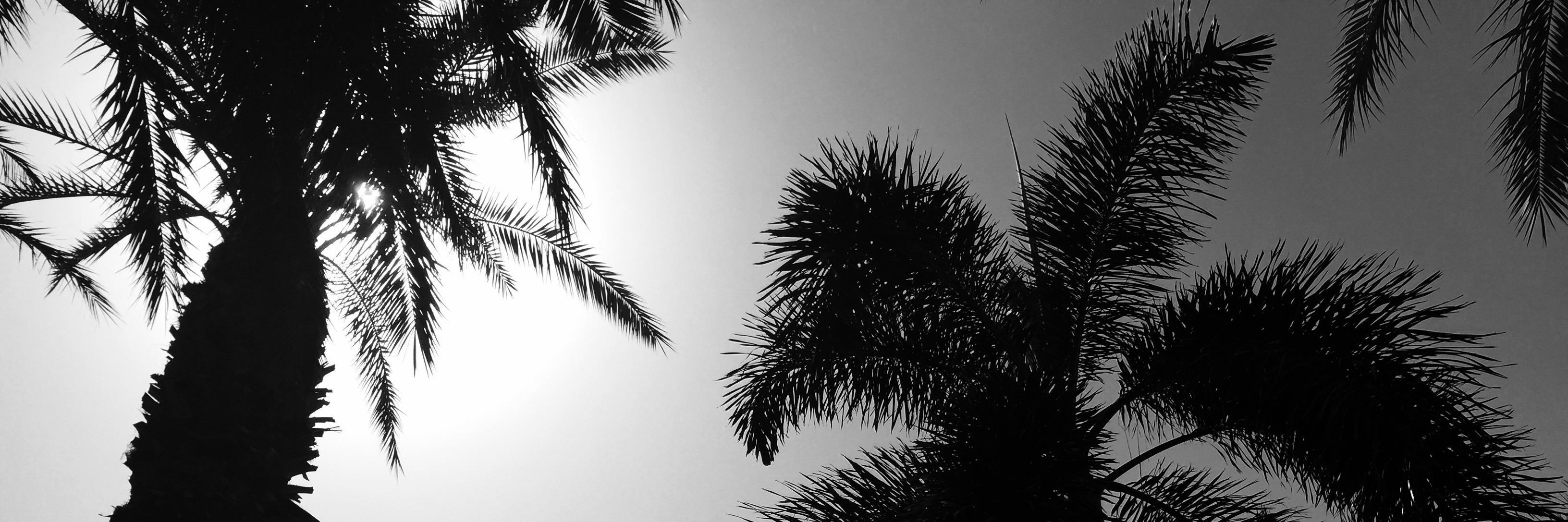 debbiebehar's profile banner image