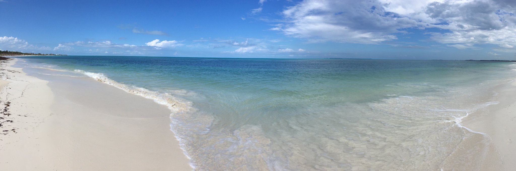 Blake Toppmeyer banner