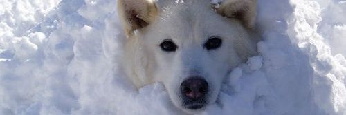 Oiler_KARI's profile banner image