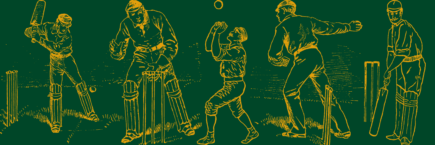 Merrion Cricket Club banner