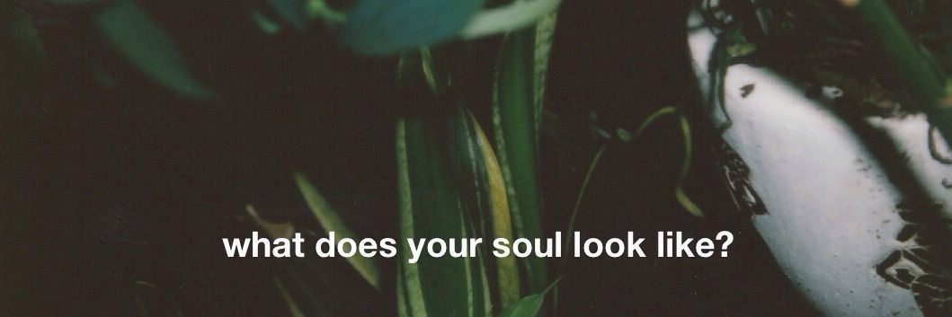 Sassamundo's profile banner image