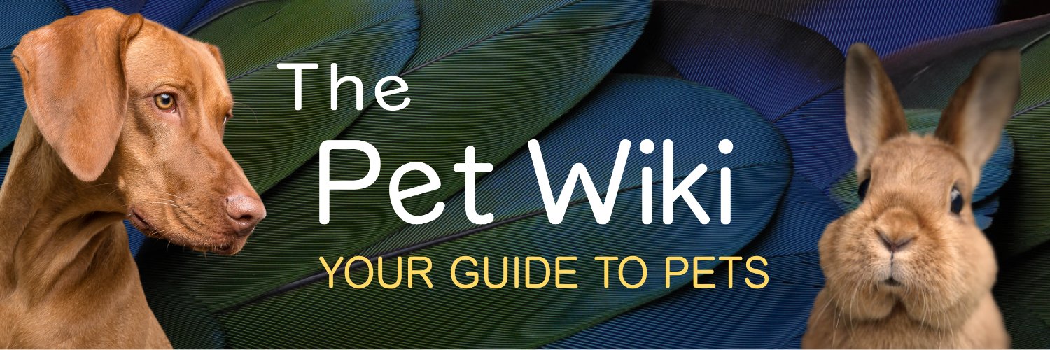 ThePetWiki's profile banner image