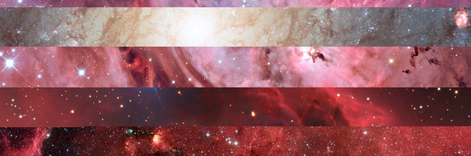 PuppyDanvers16's profile banner image