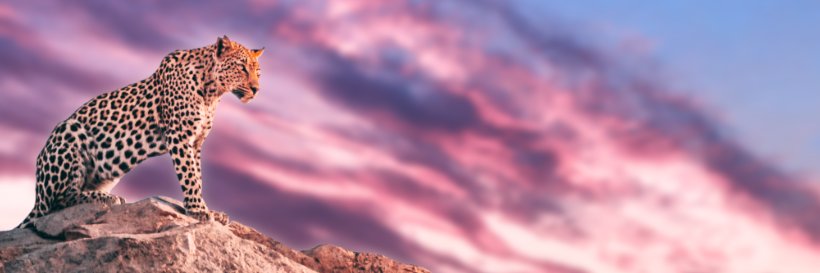 Andy Varvel banner