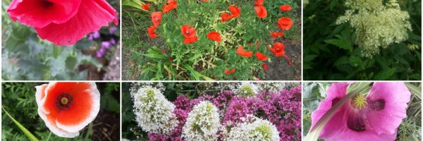 hrcnow Profile Banner