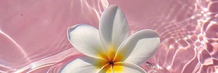 micavalerioo's profile banner image
