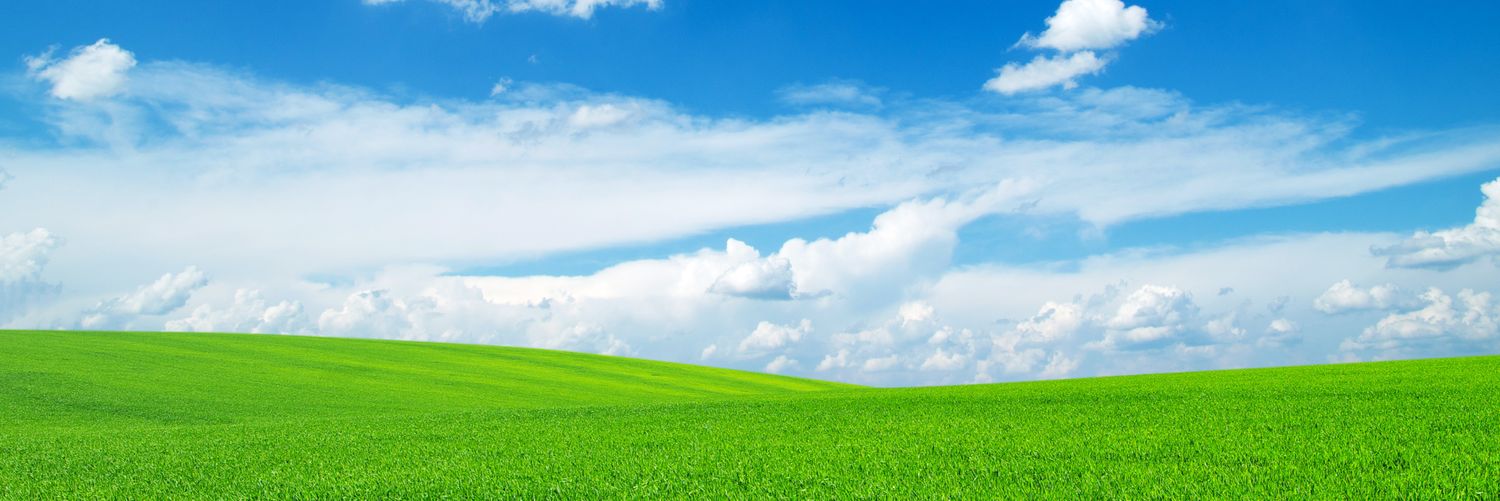 dinanyf's profile banner image