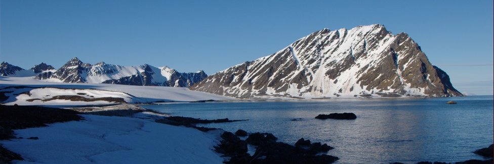 הולך בטל banner