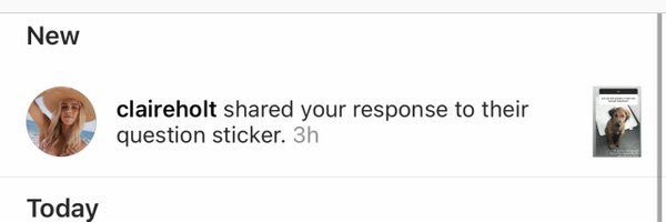 stephaniefewer Profile Banner