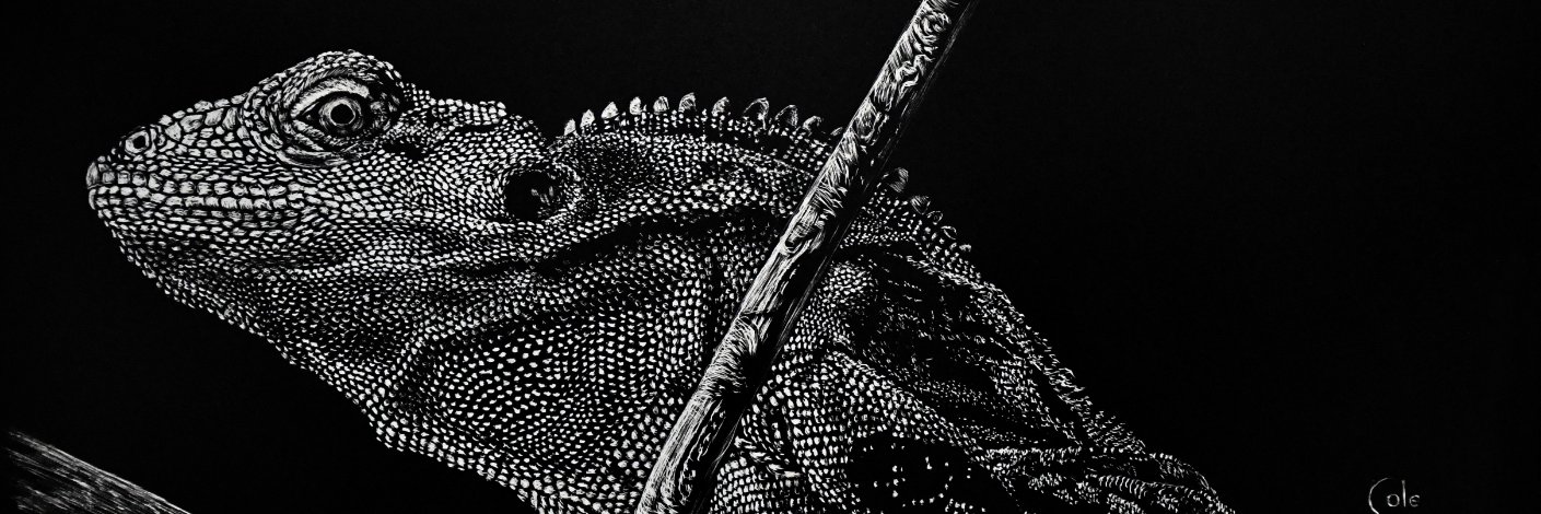 ColeTop10's profile banner image