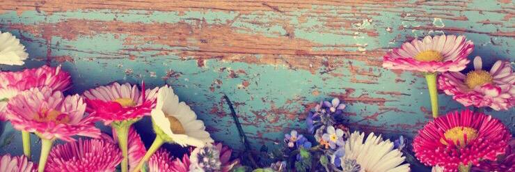 gypsylizzy's profile banner image