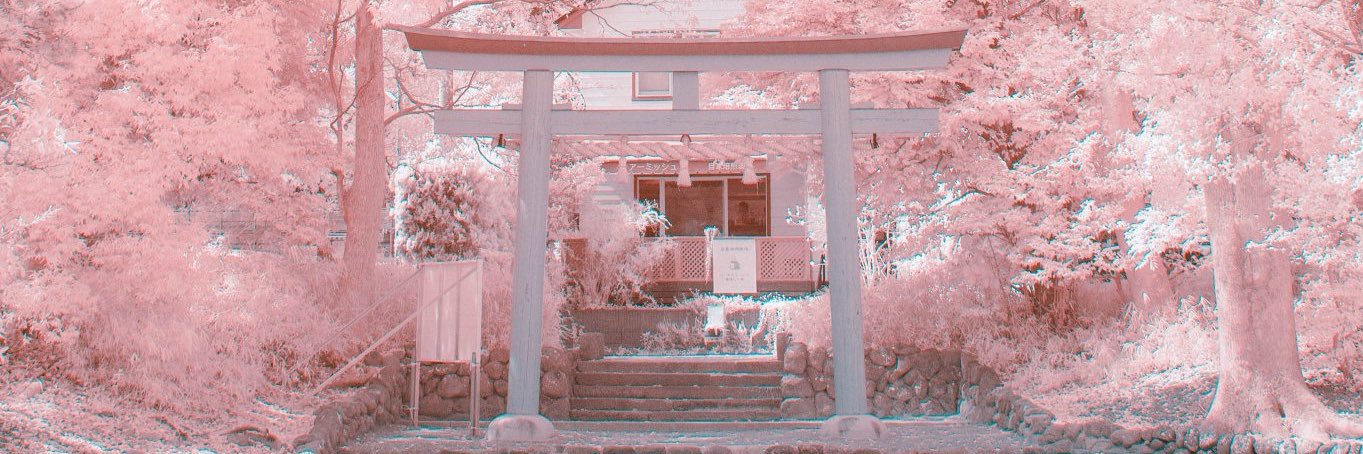 rr_q's profile banner image