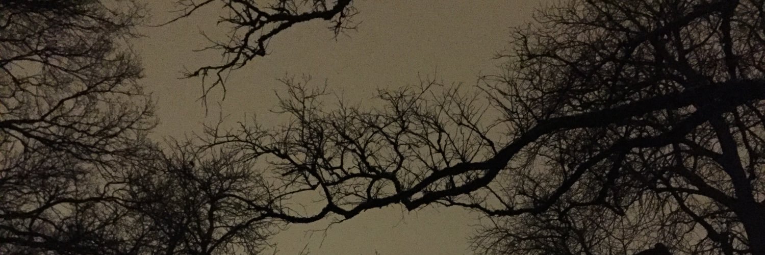 ferkinx's profile banner image