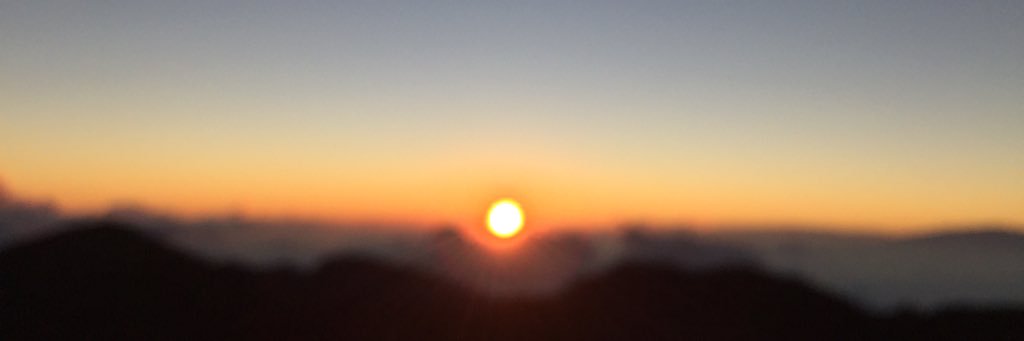 arlajewitt's profile banner image