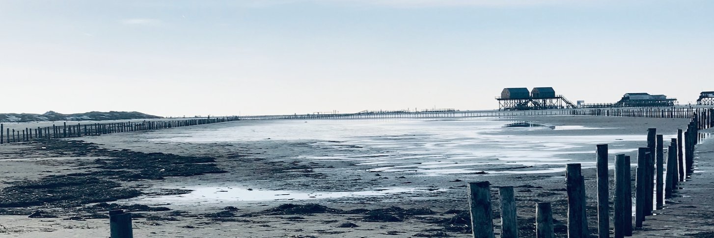 Jochen Dominicus banner