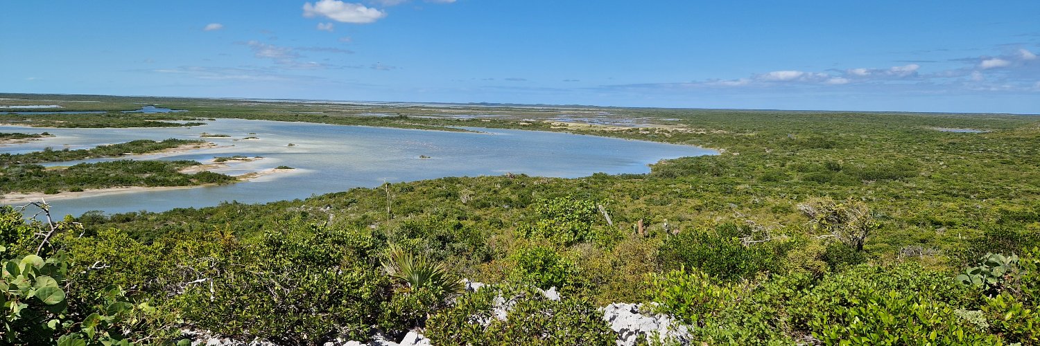 WilderCaribbean's profile banner image