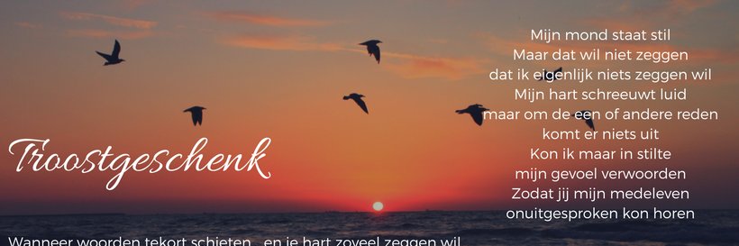 troostgeschenk's profile banner image